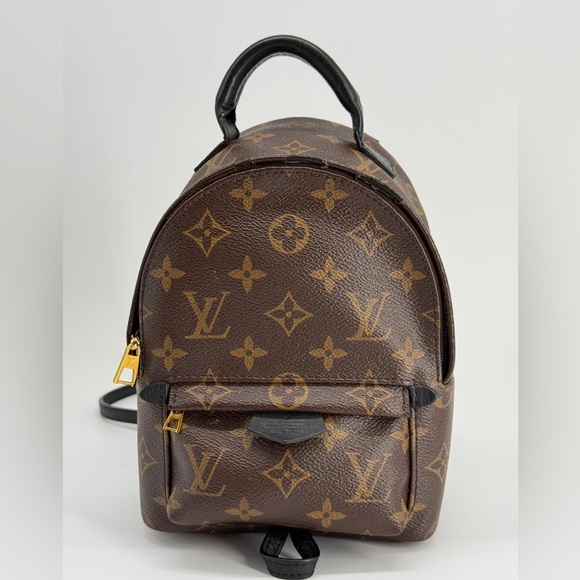 Louis Vuitton Palm Springs Backpack Mini Brown Canvas main image 9